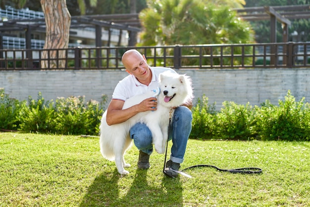 Chien Samoyède avec son homme propriétaire au parc jouant ensemble