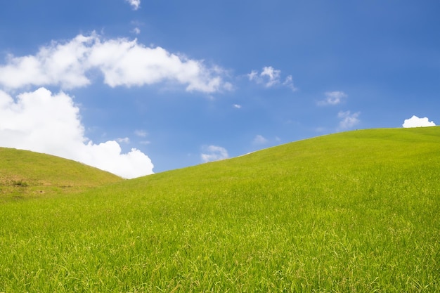 Photo un ciel bleu vif avec des nuages blancs et moelleux au-dessus d'une colline herbeuse verte