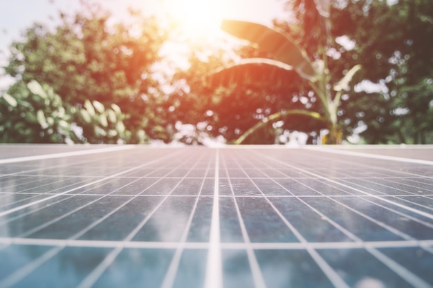 Photo close-up des plantes contre le ciel