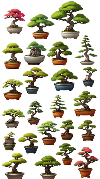 Photo une collection d'arbres bonsai de la collection de plantes