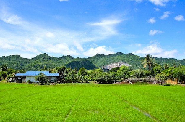 Colline d&#39;herbe et ciel bleu, Thaïlande