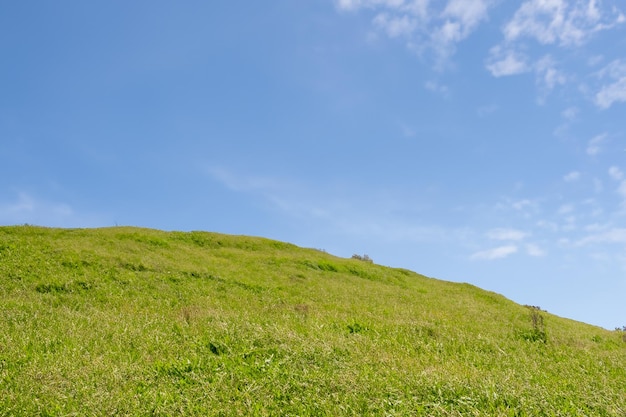 Photo une colline d'herbe verte avec un ciel bleu et des nuages au-dessus