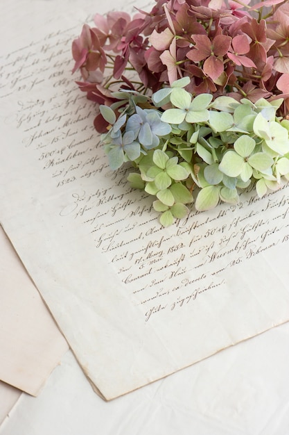 Photo écriture ancienne et fleurs d'hortensia douces. fond de style vintage romantique. mise au point sélective