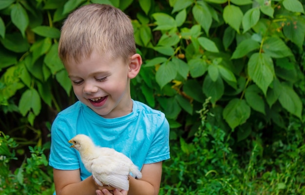 Un enfant tient un poulet dans ses mains Un garçon et un oiseau Mise au point sélective