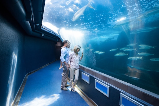 Photo famille regardant le réservoir de poissons