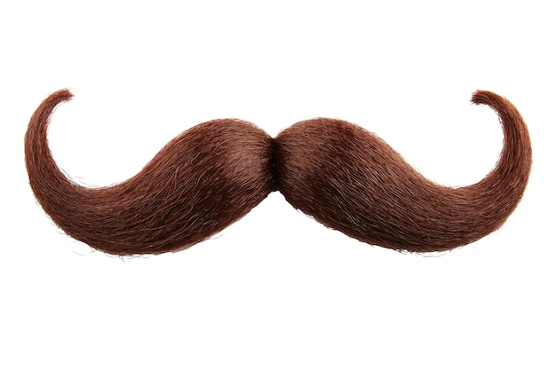 Photo fausse moustache brune sur fond blanc