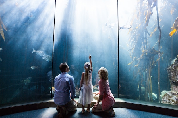 Photo fille pointant un poisson tandis que sa mère et son père en regardant un aquarium