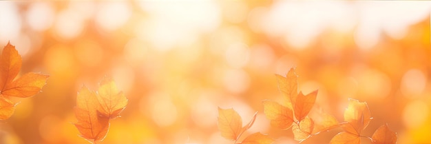 Fond orange jaune automne avec feuilles et bokeh AI