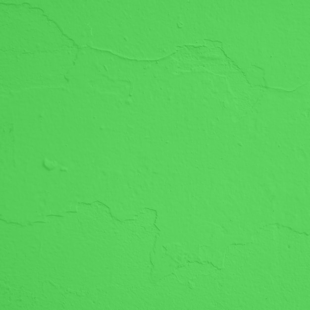 Fond de texture de papier vert bouchent