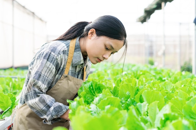 Image d'une agricultrice asiatique dans son potager hydroponique