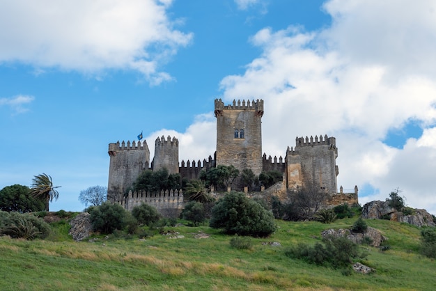 Imposant château médiéval d'Almodovar del Rio sur une colline et un beau ciel bleu et des nuages blancs