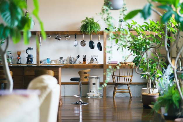 Un intérieur calme et un espace cuisine avec des plantes à feuillage