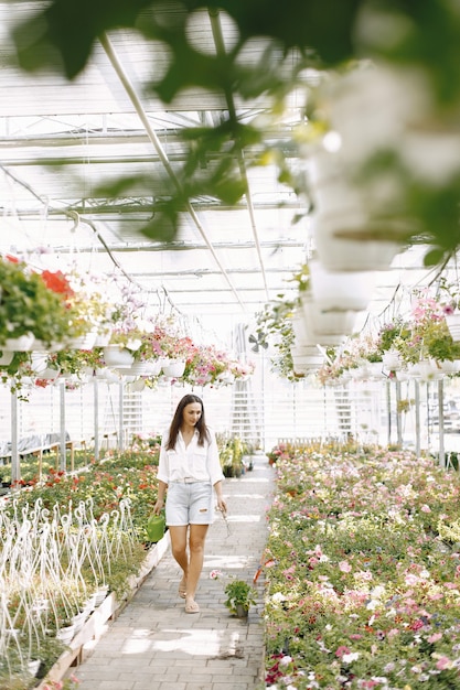 Jeune femme brune s'occuper d'une plante en pot en tuyau d'arrosage. femme, porter, chemisier blanc