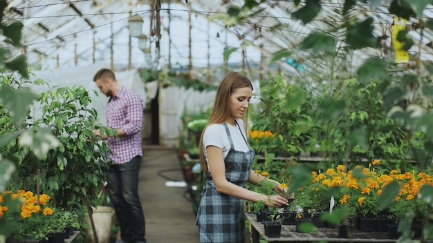 Jeune femme sympathique jardinier travaillant dans un centre de jardinage