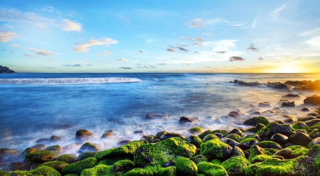 Photo le littoral de saint-pierre à la réunion