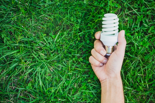 Main tenant une ampoule fluorescente compacte sur l&#39;herbe verte