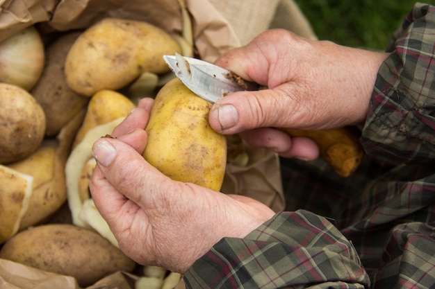 Mains d'un homme âgé préparer des pommes de terre