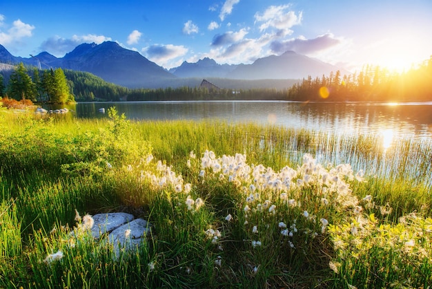 Le majestueux lac de montagne du parc national des Hautes Tatra Strbske ples