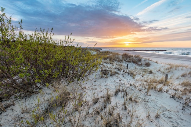 Mer Baltique et dunes au coucher du soleil