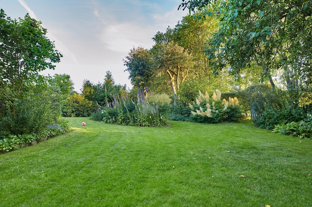 Photo mon jardin parc ou cour de jardin bien entretenu avec des arbres et des fleurs d'herbe verte qui poussent lors d'une journée de détente fraîche et printanière à l'extérieur avec espace de copie vue panoramique calme et magnifique sur le paysage dans la nature