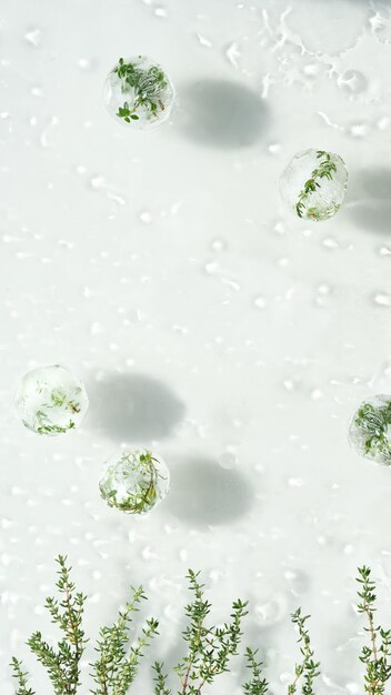 Photo mouiller le fond de l'eau blanche avec des boules de glace fondantes avec des herbes congelées plantes d'origan et de thym romarin plantes congelées à l'intérieur de morceaux de glace