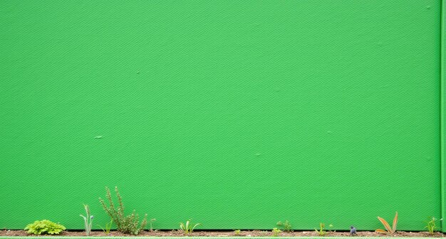 Photo un mur vert avec des mauvaises herbes qui en sortent