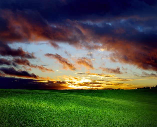 Nuages sombres sur terrain avec de l'herbe