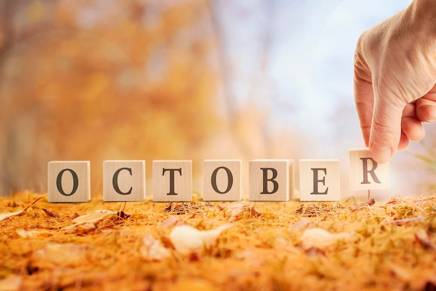 Photo octobre est un mois d'automne un mot fait de cubes sur le fond d'une forêt d'automne est la main d'un homme