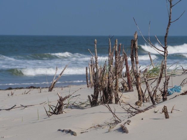 Photo plage de just