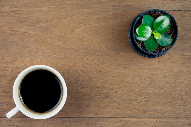 Tasse à café avec petite plante sur fond de table en bois Vue de dessus avec espace de copie