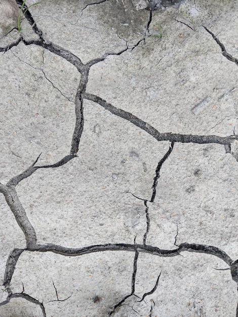 terre grise sèche avec des fissures