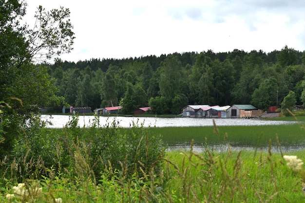 Vieille maison en bois dans le village dans un paysage paisible rural forestier