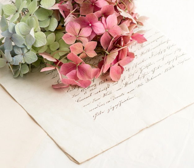 Photo vieilles lettres d'amour et hortensia de fleurs de jardin. fond de style vintage romantique. mise au point sélective