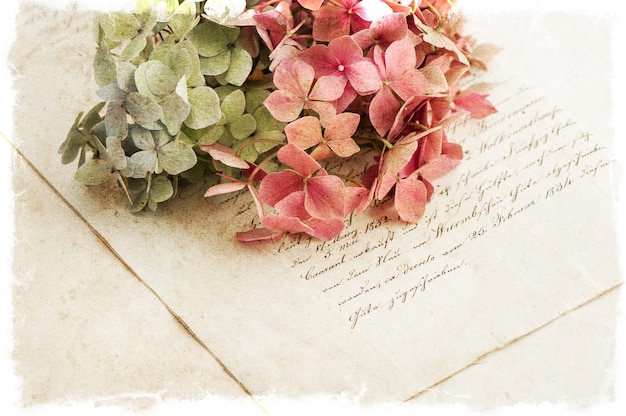 Photo vieux manuscrit et fleurs d'hortensia. fond de style vintage romantique. mise au point sélective