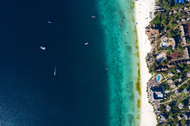 Photo vue imprenable sur les yeux des oiseaux à zanzibar