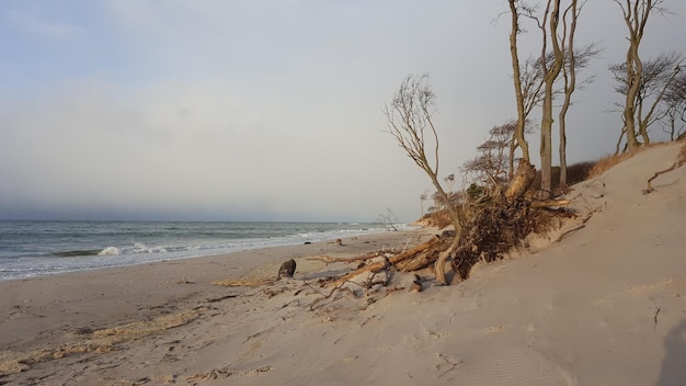 Photo vue panoramique de la plage contre le ciel