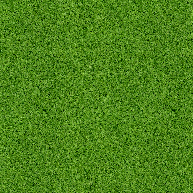 Photo 3d render of green grass texture for background. green lawn texture background. close-up.
