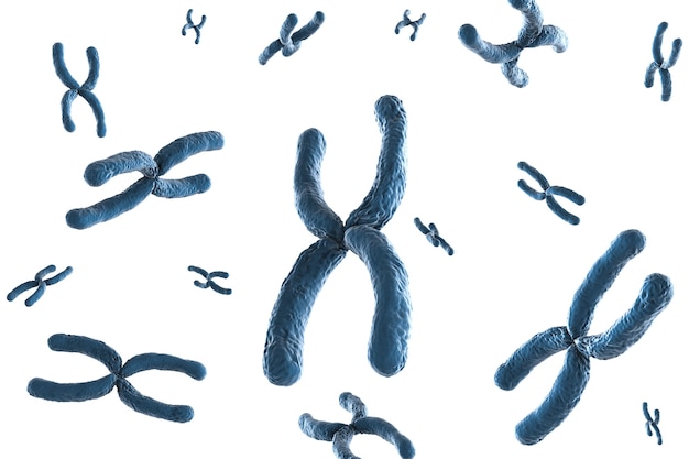 Photo 3d rendering blue chromosome on white background