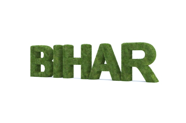 3d rendering of green grass bihar word isolated on white background