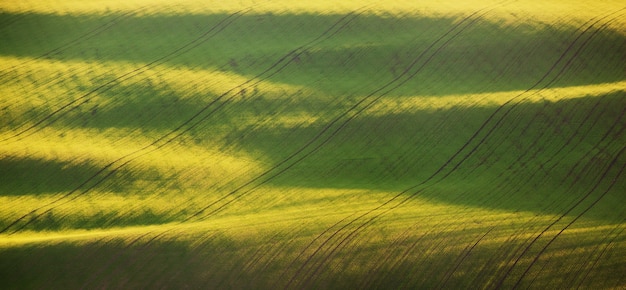 Photo abstract spring landscape with green fields at colorful sunset