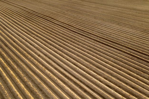 Photo aerial view of high quality soil in the field. ready to grow crops. field with potatoes, roots.