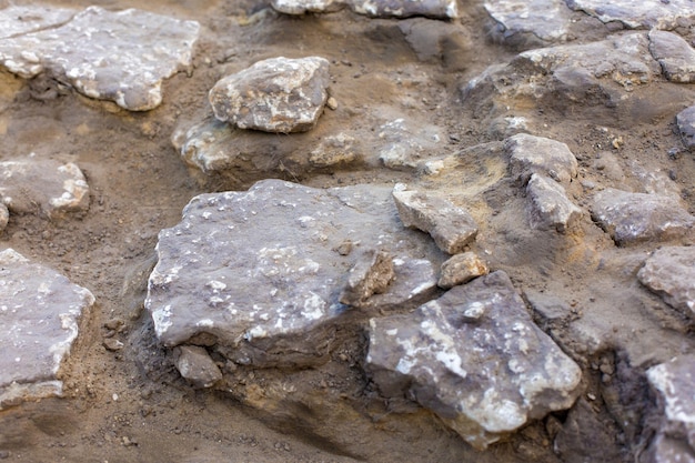 Archaeological excavations remains of the settlement the scythians fossils