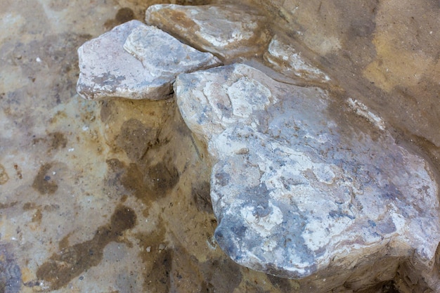 Archaeological excavations remains of the settlement the scythians fossils