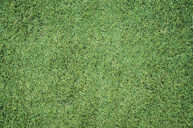 artificial grass texture