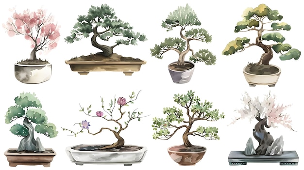 Photo assortment of elegant bonsai trees in decorative pots for indoor and outdoor displays