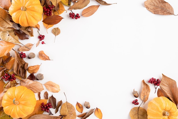 Autumn composition. Autumn leaves and pumpkin on white 