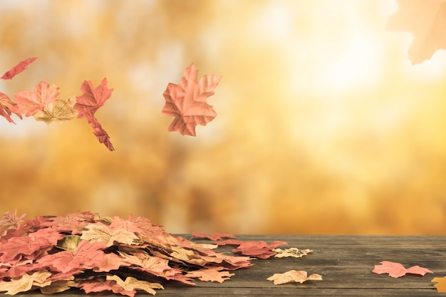 Autumn foliage flying under leave bunch 