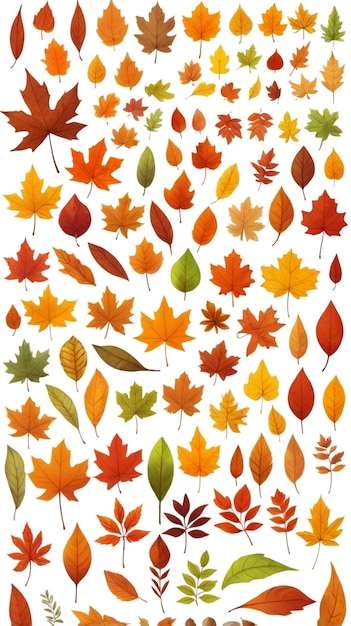 Photo autumn leaves on a white background