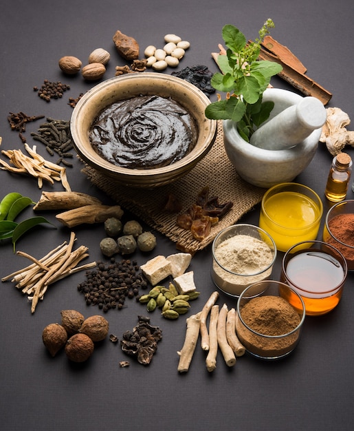 Ayurvedic Chyawanprash is a Powerful  Immunity Booster OR Natural Health Supplement. Served in an Antique bowl with Ingredients, over moody background, selective focus