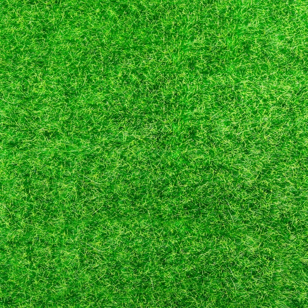 Photo background of bright green grass